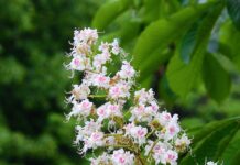 Ile trzeba mieć procent na maturze żeby dostać się na studia?