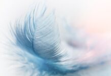 Co to jest platforma B2B? Co to jest platforma B2B?