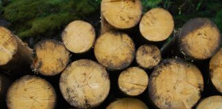 Co to znaczy biomasa?