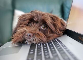 Jakie działania podejmuje IKEA w zakresie ograniczenia kosztów?