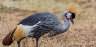 Ile jest form ochrony przyrody w Polsce?