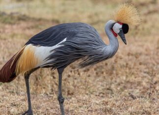 Ile jest form ochrony przyrody w Polsce?