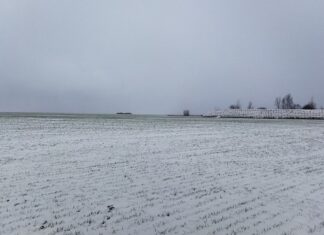 Za co oceniamy w edukacji społecznej?