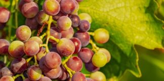 Co daje nam zdrowy tryb życia?