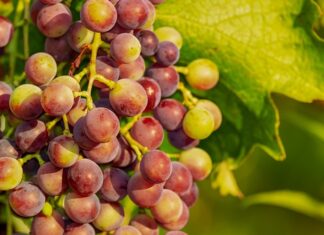 Co daje nam zdrowy tryb życia?