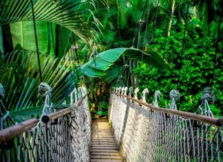 Jak nagrać kurs online?