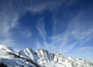 Co to jest fee agencji?