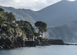 Ile kosztuje godzina jazdy z instruktorem?