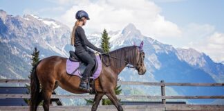 Ile można mieć jazd w tygodniu?