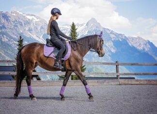 Ile można mieć jazd w tygodniu?