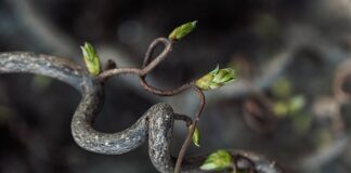 Jak kształtować wizerunek?