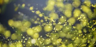 Co najbardziej niszczy środowisko?