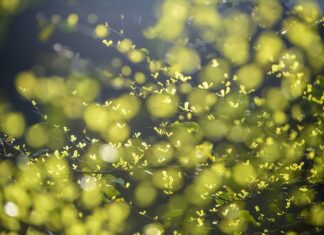 Co najbardziej niszczy środowisko?