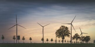 Co wchodzi w skład środowiska naturalnego?