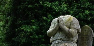 Jak zadbać o dobry wizerunek firmy?