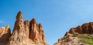 Jak czytać piramidę?