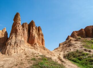 Jak czytać piramidę?